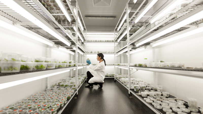 applied research scientist