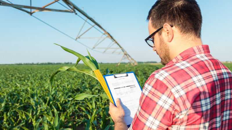 grower liaison