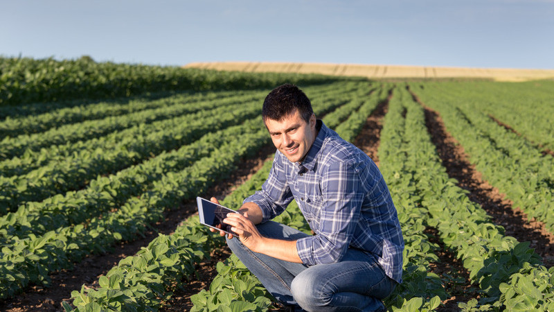 hort Consultant agronomist