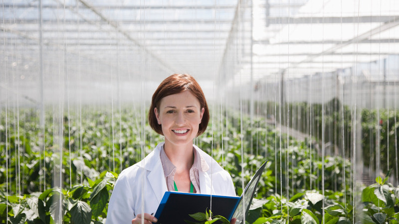 research and development manager