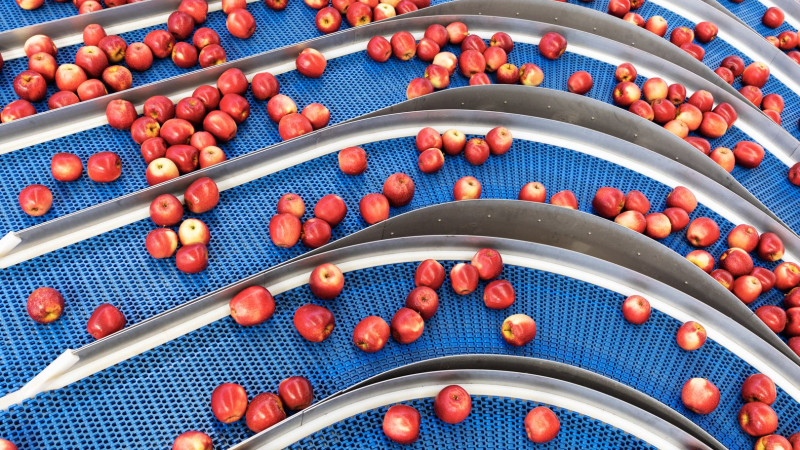 272939 apple sorting web 1920p