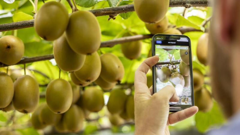 766958 nz story agritech2025 croptide vines 1094 web 1280p