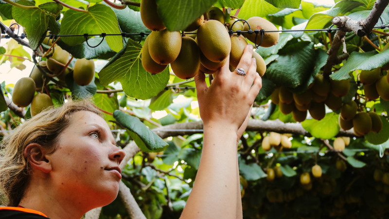 Science or On Orchard Circle