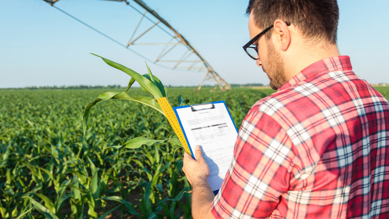 grower liaison